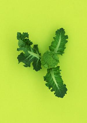 安心して働けるホストクラブの探し方